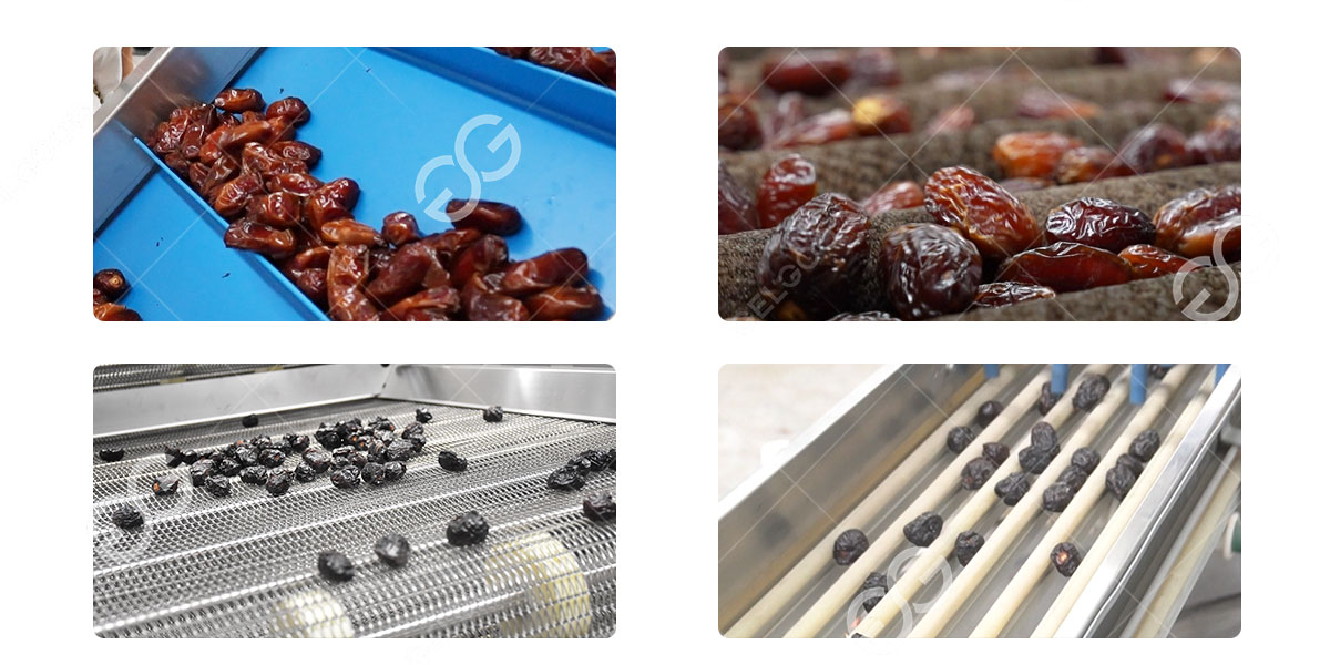 تكنولوجيا خط إنتاج معالجة التمور (2).jpg تكنولوجيا خط إنتاج معالجة التمور (2).jpg