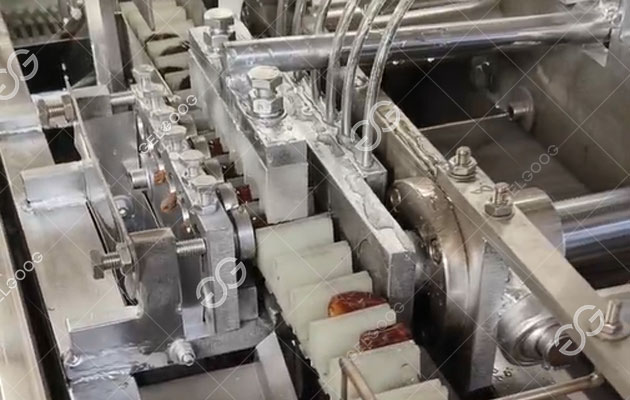 آلة إزالة نواة النخيل (2).jpg آلة إزالة نواة النخيل (2).jpg