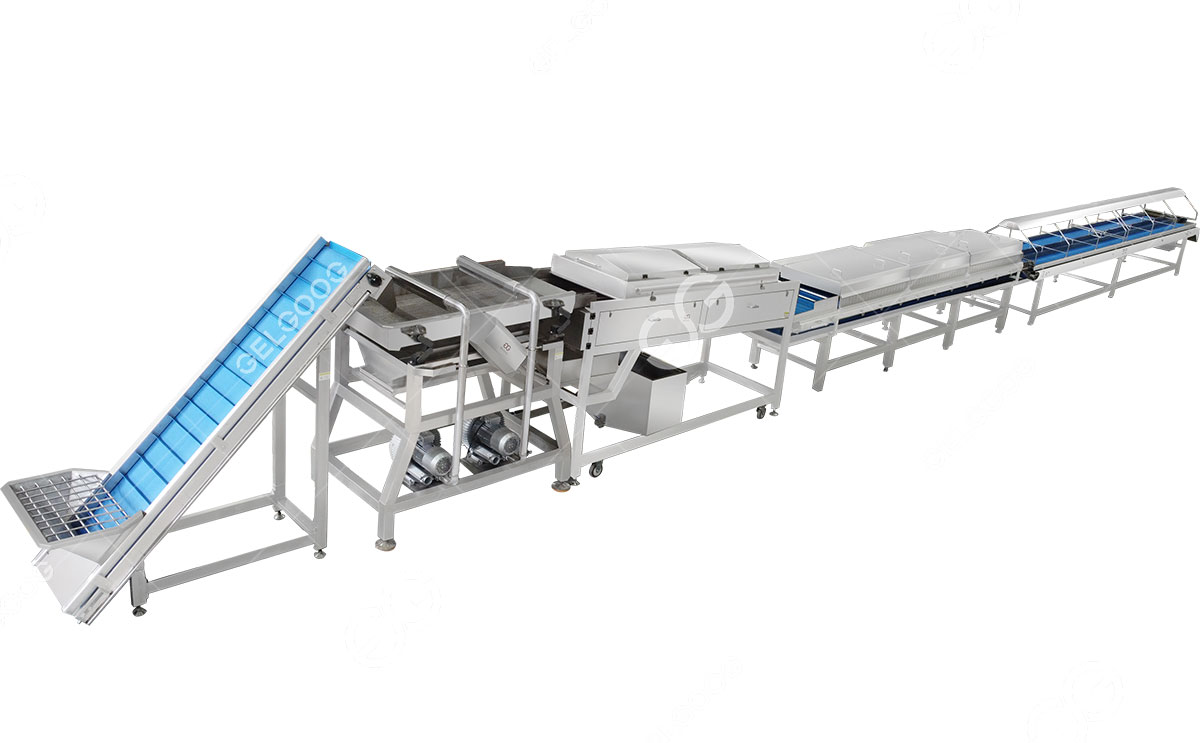 خط تنظيف وتجفيف التمور.jpg خط تنظيف وتجفيف التمور.jpg