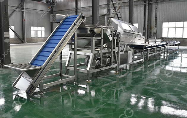 عملية إنتاج نخيل التمر.jpg عملية إنتاج نخيل التمر.jpg