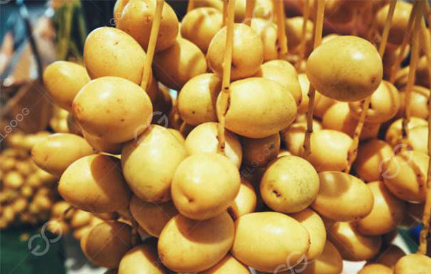 تصنيع التمور المجففة.jpg تصنيع التمور المجففة.jpg