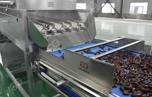 عملية معالجة التمور.jpg عملية معالجة التمور.jpg