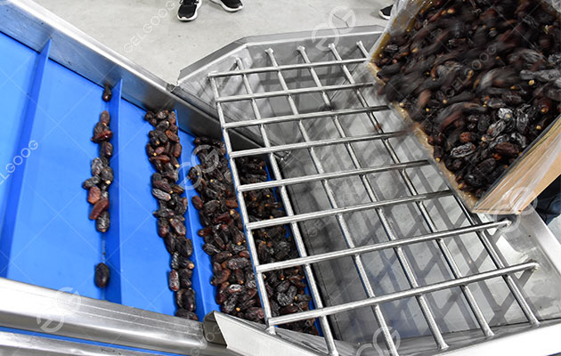 التمور الطازجة.jpg التمور الطازجة.jpg