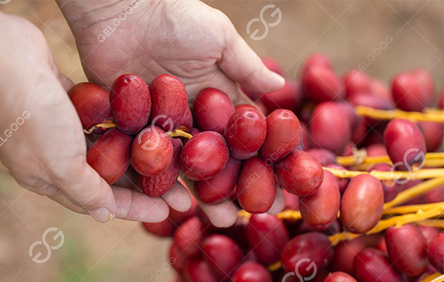 اختيار التاريخ.jpg اختيار التاريخ.jpg