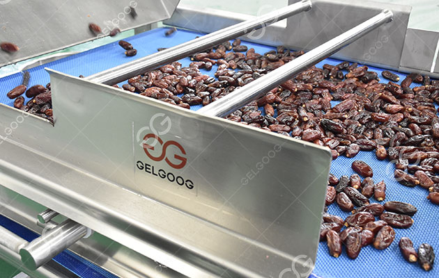 تصنيف نخيل التمر.jpg تصنيف نخيل التمر.jpg