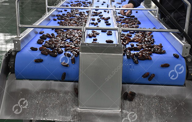 معالجة التمور.jpg معالجة التمور.jpg