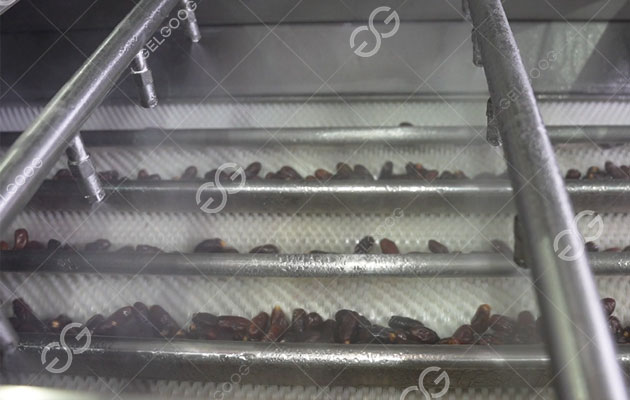 شركات نخيل التمر.jpg شركات نخيل التمر.jpg