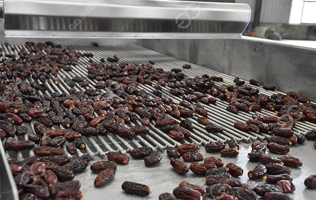 مقدمة عن التمر المجفف.jpg مقدمة عن التمر المجفف.jpg