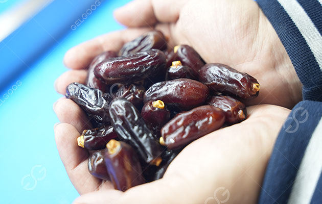 ماكينة-تلميع-التمور-تستخدم-ل.jpg ماكينة-تلميع-التمور-تستخدم-ل.jpg