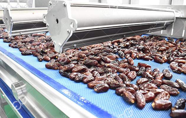 كيف تتم معالجة التمور؟.jpg كيف تتم معالجة التمور؟.jpg